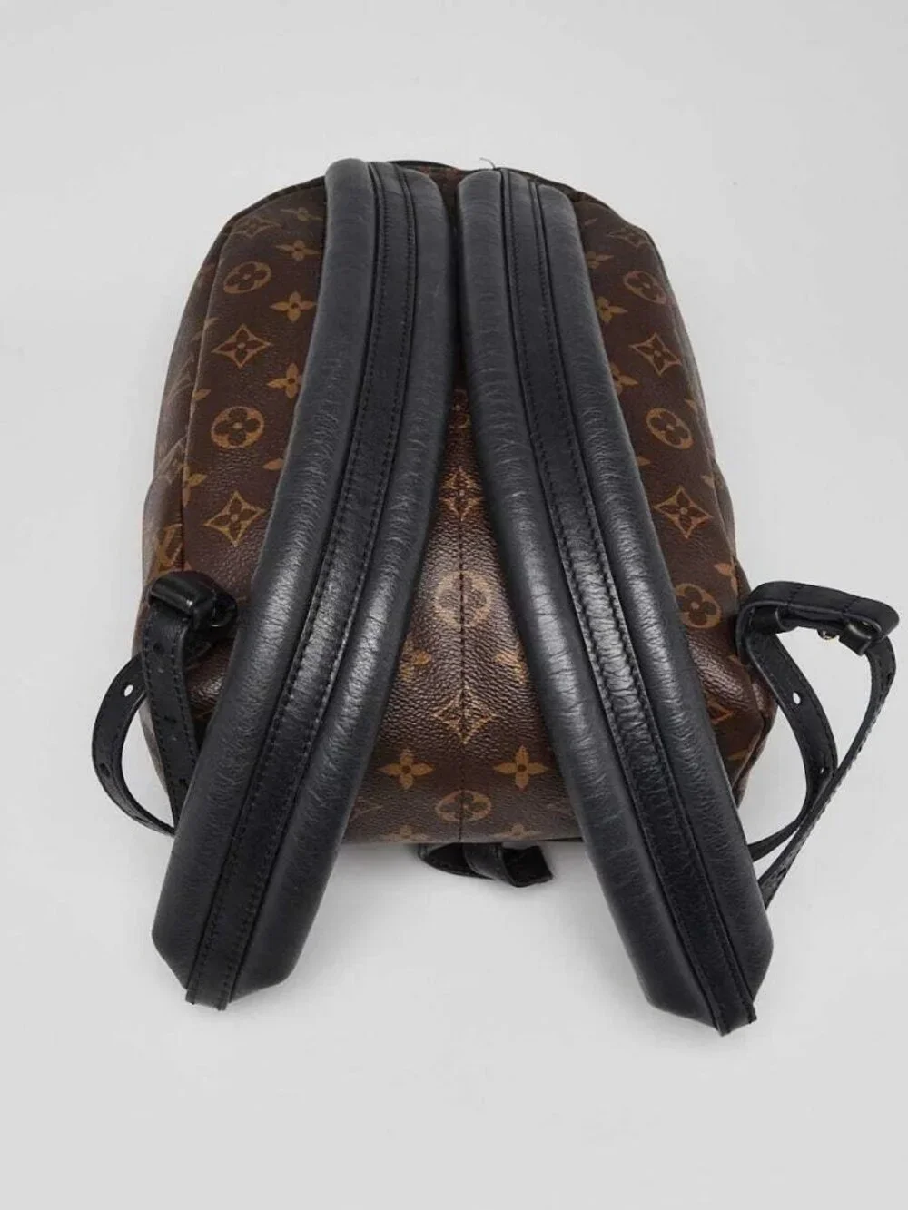 Louis Vuitton Monogram Canvas Palm Springs PM Backpack Bag
